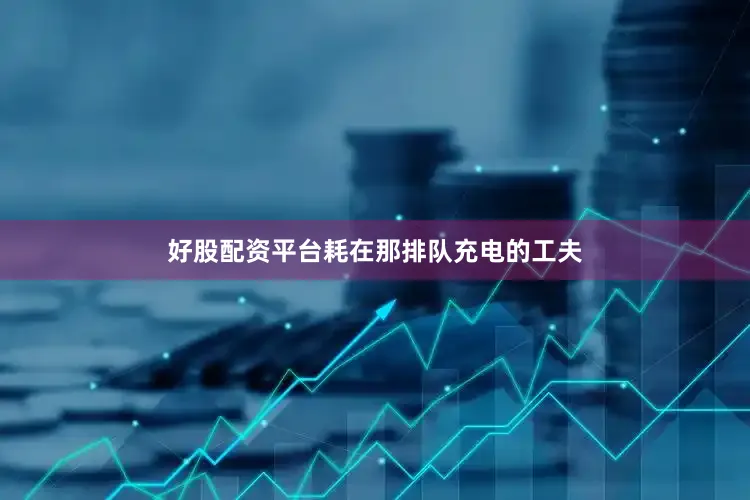 好股配资平台耗在那排队充电的工夫